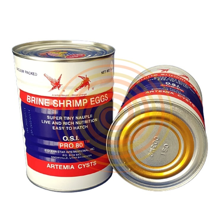 MaF Red Ring Artemia Cyst Capsules (100 Capsules) / Brine Shrimp Eggs  Capsules, 90% Hatching in 24 Hours : Amazon.in: Pet Supplies